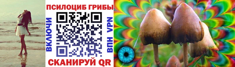 Псилоцибиновые грибы MAGIC MUSHROOMS  Шилка 