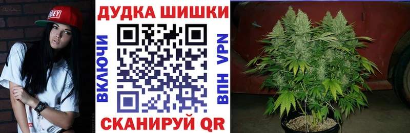 мега как войти  Шилка  Канабис ГИДРОПОН 